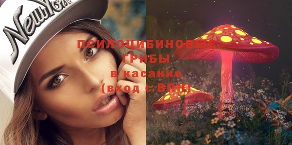 СК Армянск